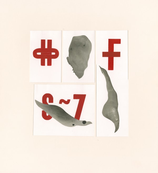 Ellen McMahon, Lost Language of a Desert Sea II: To Want, 2009