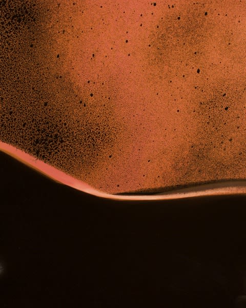 Chuck Kelton, Paradise 10, 2019