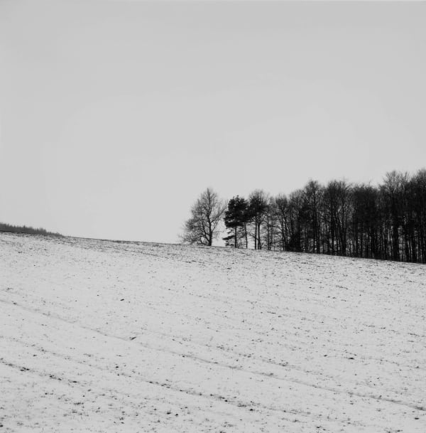 Paul Hart, February VIII, 2020-2024