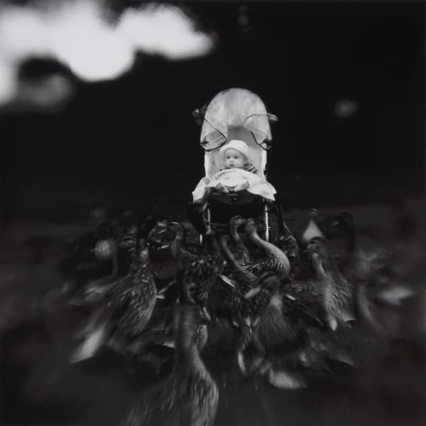 Keith Carter, Pram , 2008