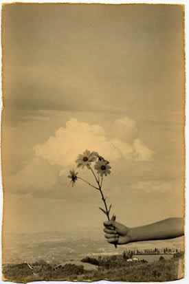 Yamamoto Masao, #1092 from Nakazora, 2003