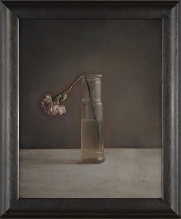 Kate Breakey Carnation in a Bottle, n.d.