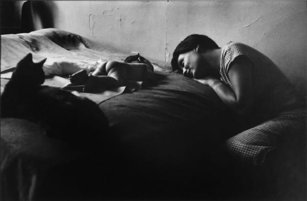 Elliott Erwitt, New York, 1953