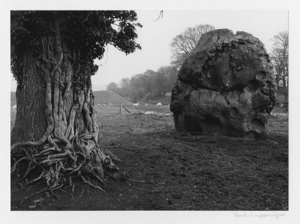 Paul Caponigro, Stone & Tree, Avebury, England, 1967