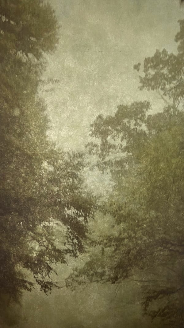 Wendi Schneider, Into the Mist XII, 2020