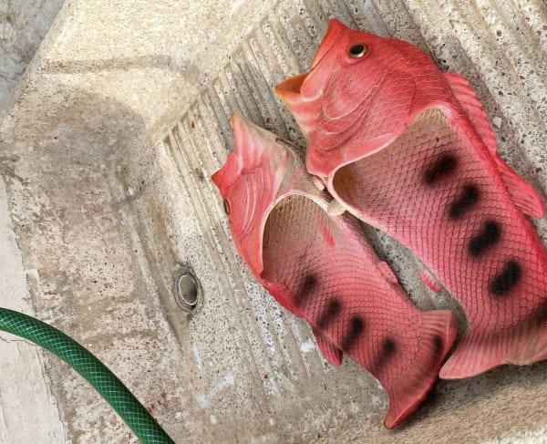 Caleb Gutierrez, My Fish Sandals Look Thirsty