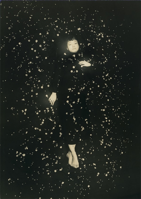 Yamamoto Masao, Tomosu #6009