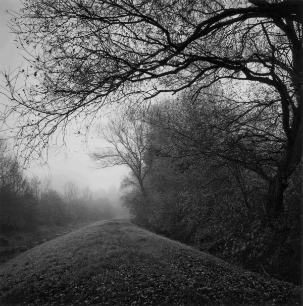 Paul Hart, November II, 2020-2024