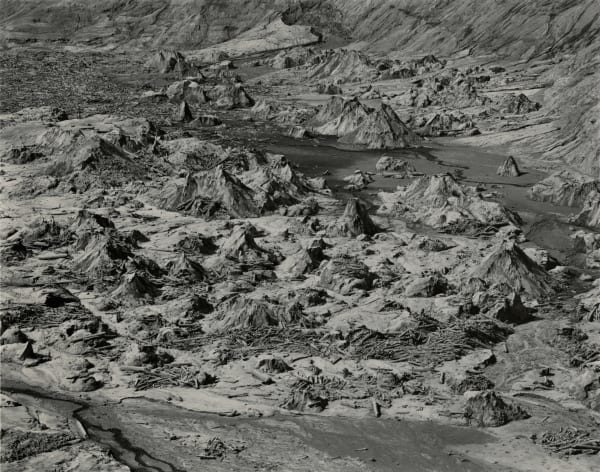 Emmet Gowin, Bear Cove, Spirit Lake, Mount St. Helens, 1980