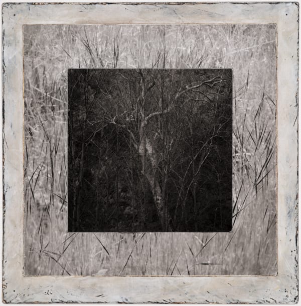 Michael P. Berman Gila Trinity #43, 2024