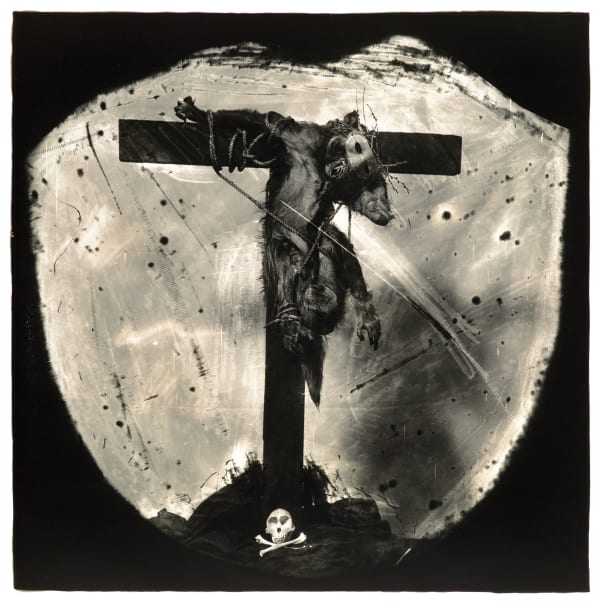 Joel-Peter Witkin, Savior of the Primates, 1982