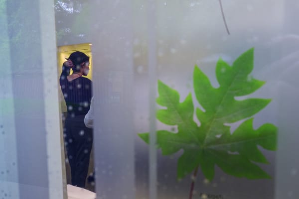 Rebecca Norris Webb, In the Rain, Brooklyn Botanic Garden, 2017