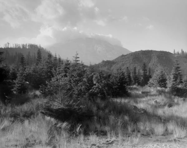 Frank Gohlke Mt. St. Helens from 5 Miles to the South- foreground and near ridges have all been logged at various times in the past, 1981, 1981