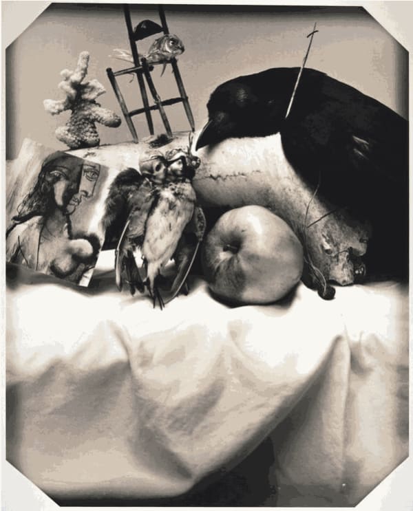 Joel-Peter Witkin, A Woods Dream of Signs and Wonders, 2013