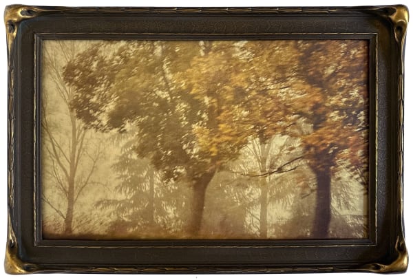 Wendi Schneider, Paris Mist, 2022