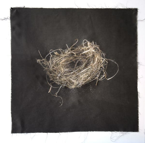 Kate Breakey, Nest 19, 2019