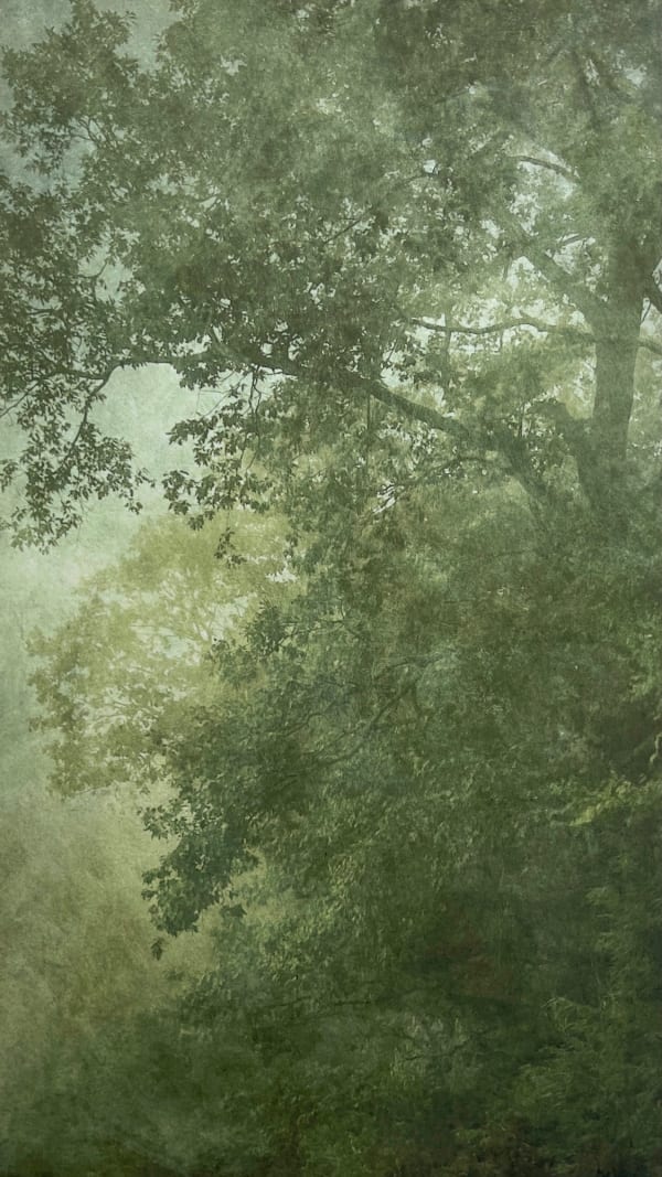 Wendi Schneider, Into the Mist VII, 2020