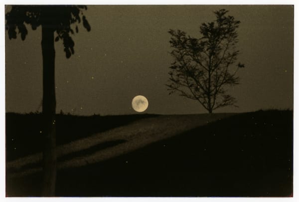 Yamamoto Masao, #1079 from Nakazora, 2003