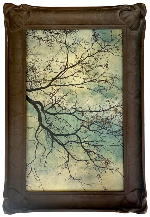 Wendi Schneider, A Stained Glass World, 2020