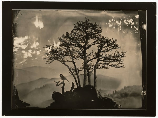 Yamamoto Masao, #7028, n.d.