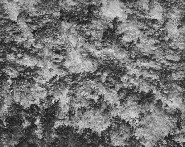 Jay Dusard, Woodchute Mountain, Arizona, 1970