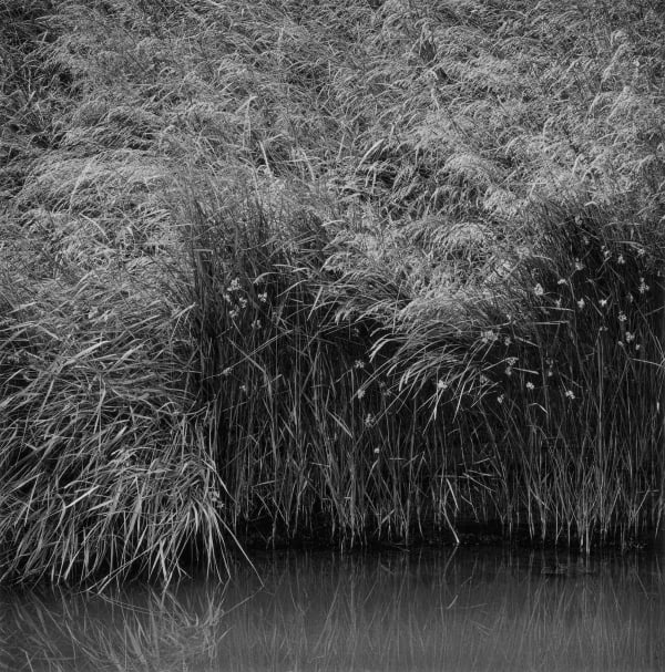 Paul Hart, June I, 2020-2024