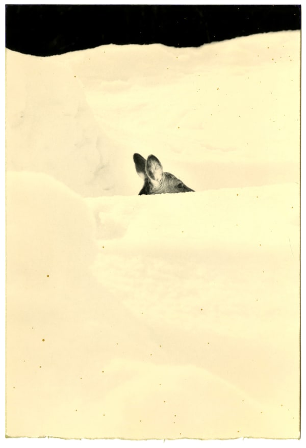 Yamamoto Masao, #1223 from Nakazora, 2004