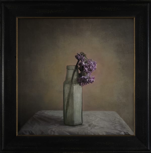 Kate Breakey Hydrangea in a Bottle, n.d.