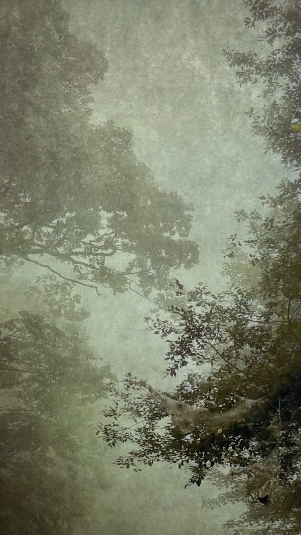 Wendi Schneider, Into the Mist IV, 2020