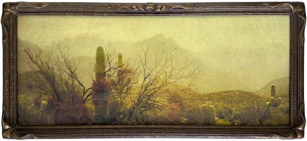 Wendi Schneider, Desert Mist, 2017