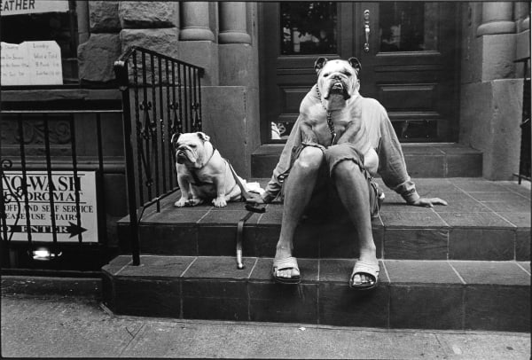 Elliott Erwitt, New York City, 2000