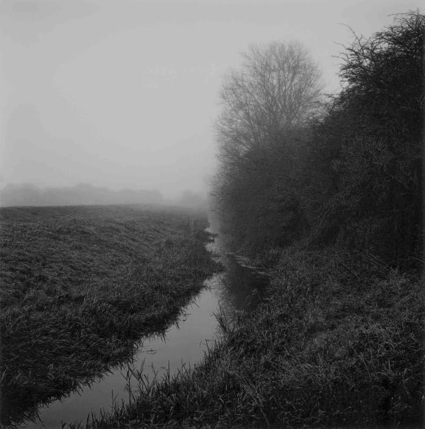 Paul Hart, November I, 2020-2024