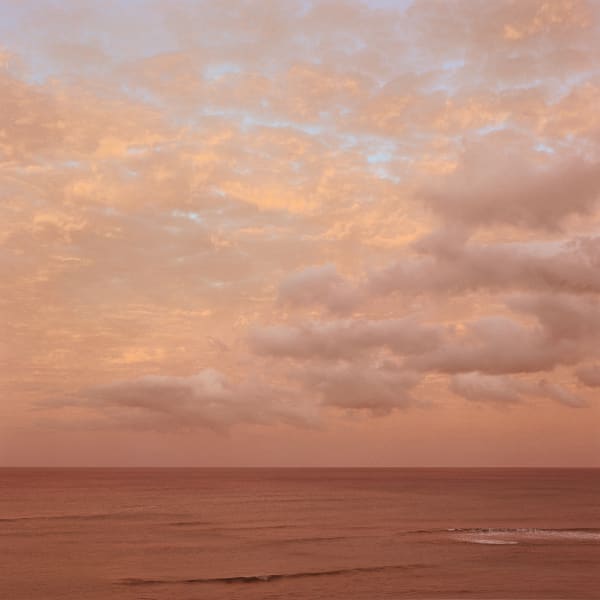 Debra Bloomfield, Oceanscape W, 2003