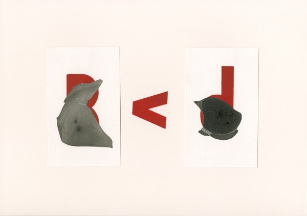 Ellen McMahon, Lost Language of a Desert Sea I: To Wish, 2009
