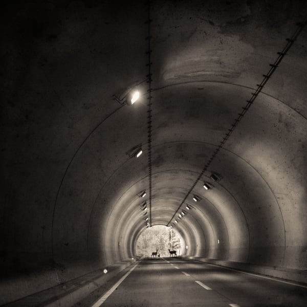 Keith Carter, Tunnel, 2019