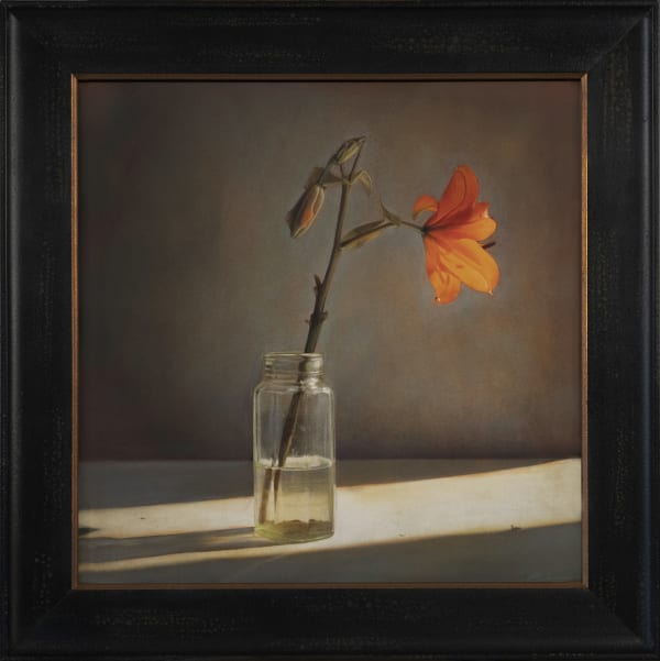 Kate Breakey Daylily, n.d.