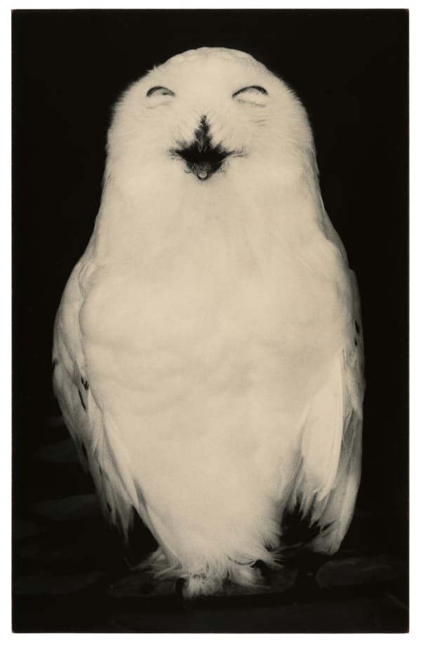 Yamamoto Masao, Kawa = Flow #1720