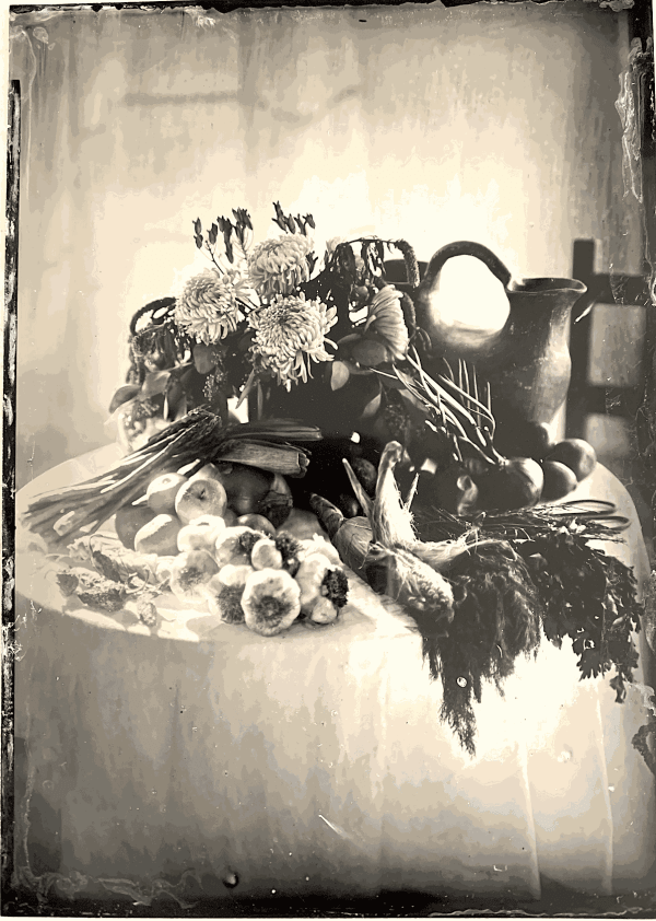 Palmira Miro Gutierrez , Abundance, n.d.