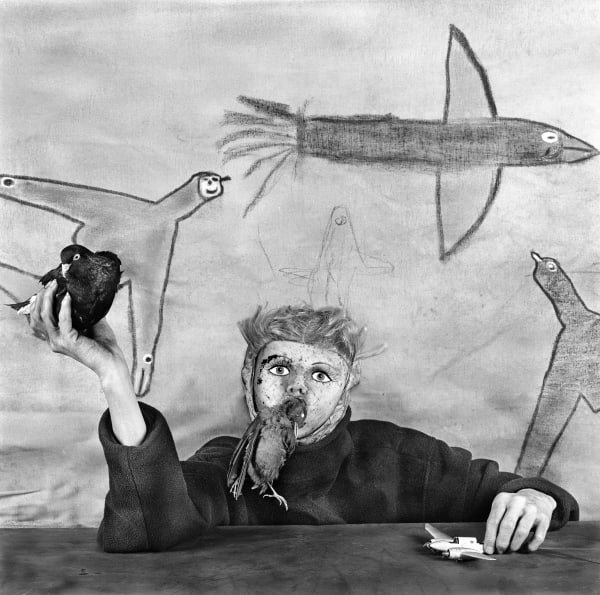 Roger Ballen, Take Off, from Asylum from the Birds, 2012