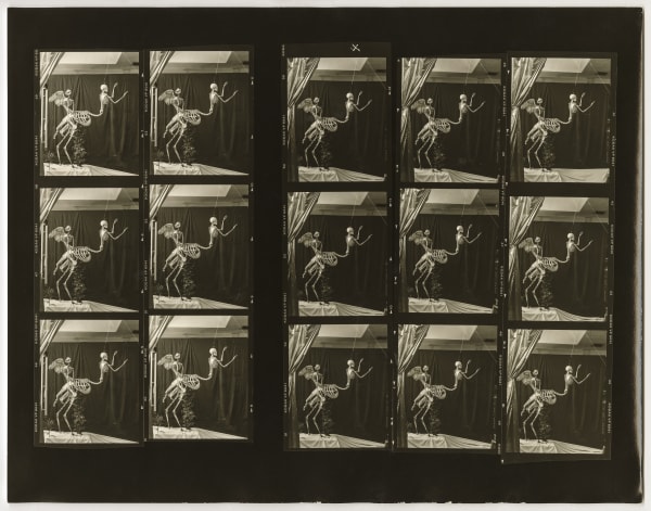 Contact Sheets: Joel-Peter Witkin, Cupid and Centaur in the Museum of Love, Marseille, 1992