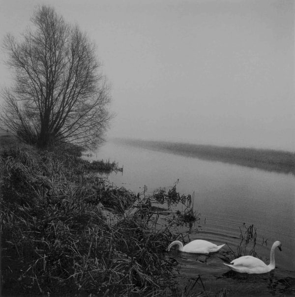 Paul Hart, December VI, 2020-2024