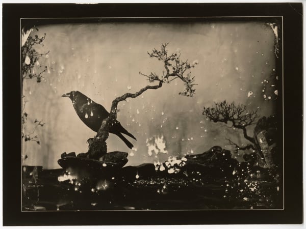 Yamamoto Masao, #7041, n.d.