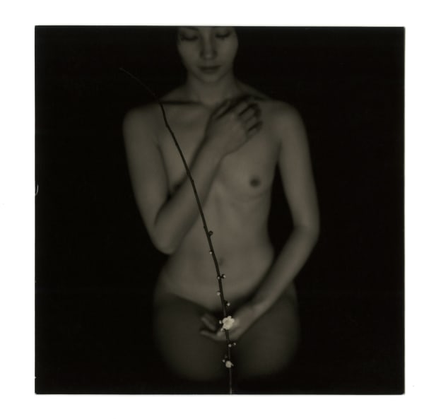 Masao Yamamoto, 1174, from Box of Ku, n.d.