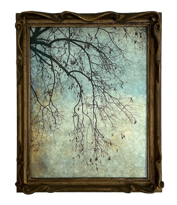 Wendi Schneider, The Truth of Winter Branches, 2019