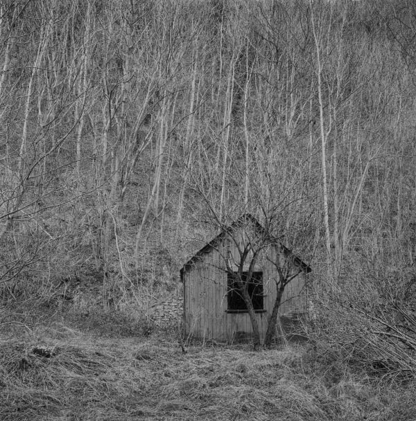 Paul Hart, March I, 2020-2024