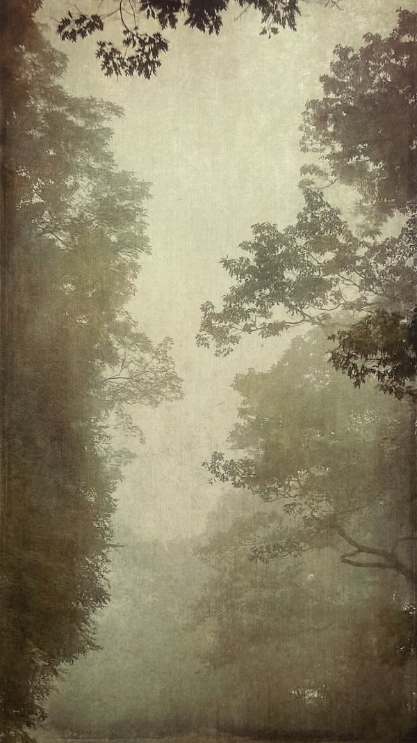 Wendi Schneider, Into the Mist II, 2020
