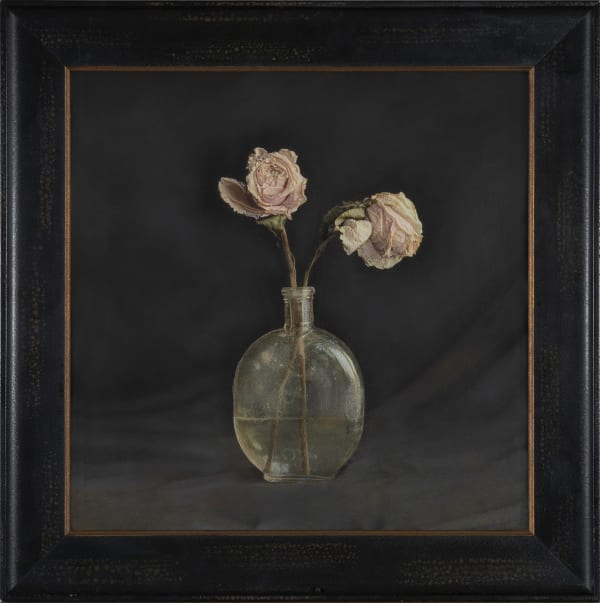 Kate Breakey Two Pale Roses, n.d.