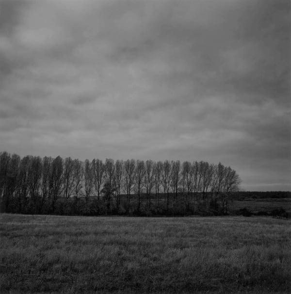 Paul Hart, October III, 2020-2024