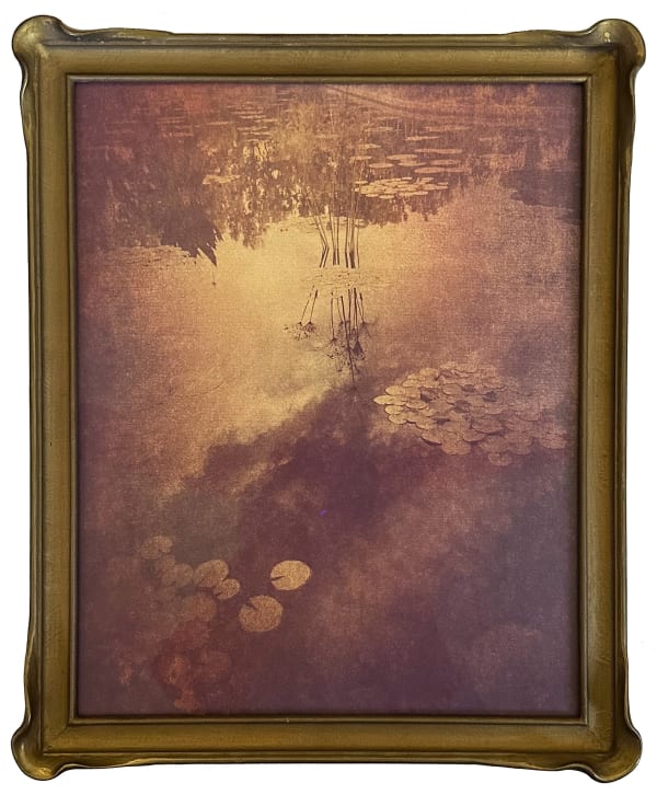 Wendi Schneider, Lily Pads, 2016
