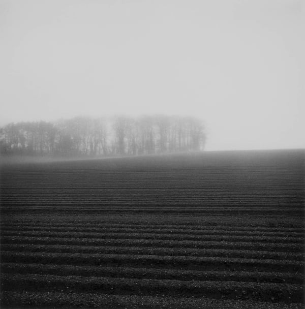 Paul Hart, April I, 2020-2024